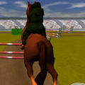 Jumping Horse 3D