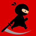 Mr Ninja Fighter