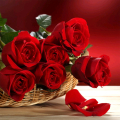 Red Roses Puzzle