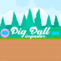 Pig Ball Impostor