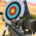 Hit Targets Shooting