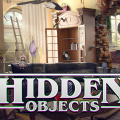 Hidden Objects: Brain Teaser