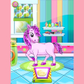 Pony Pet Salon