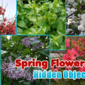 Spring Flowers Hidden Objects
