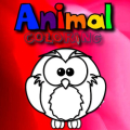 Animal HTML Coloring