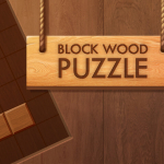 Block Wood Puzzle