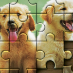 Jigsaw Puzzle